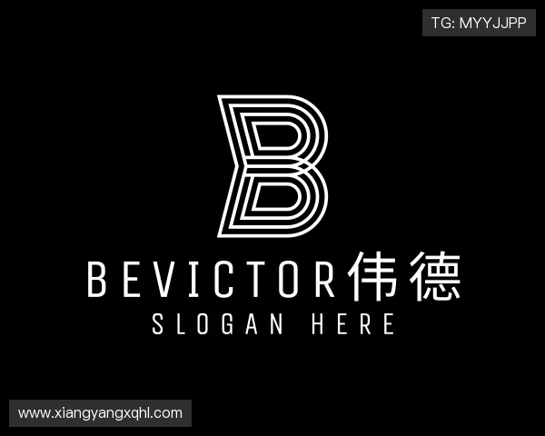 认识bv伟德国际